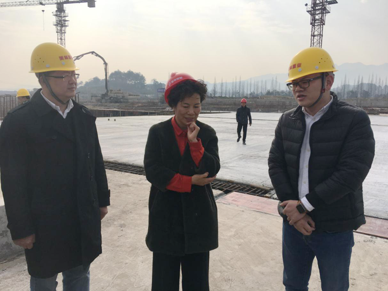 麗水市委常委、宣傳部長任淑女調(diào)研松陽美林·南城壹號項(xiàng)目