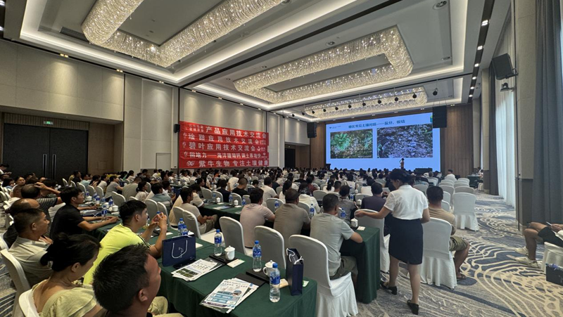 愛(ài)普科技在云南元謀推廣土壤大健康技術(shù) 助力蔬菜產(chǎn)業(yè)提質(zhì)增效